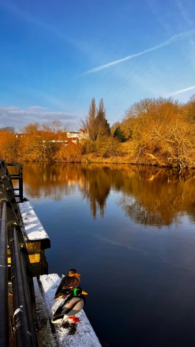 The River into Egglescliffe Views to Egglescliffe a picturesque village overlooking the River Tees, rich in history and character. With its charm